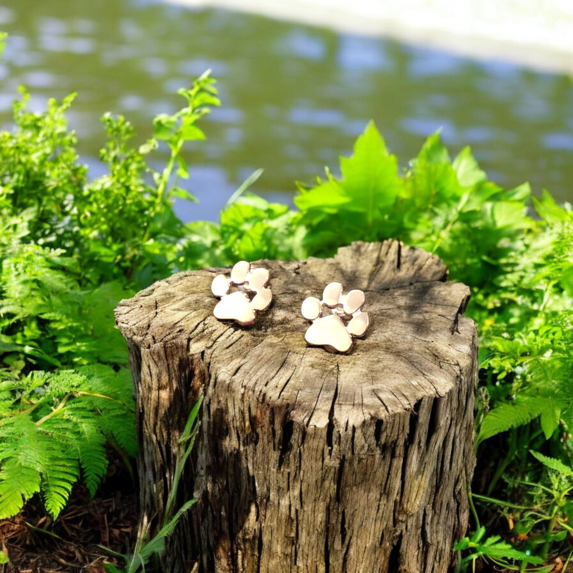 Hypoallergeniske poteøreringe