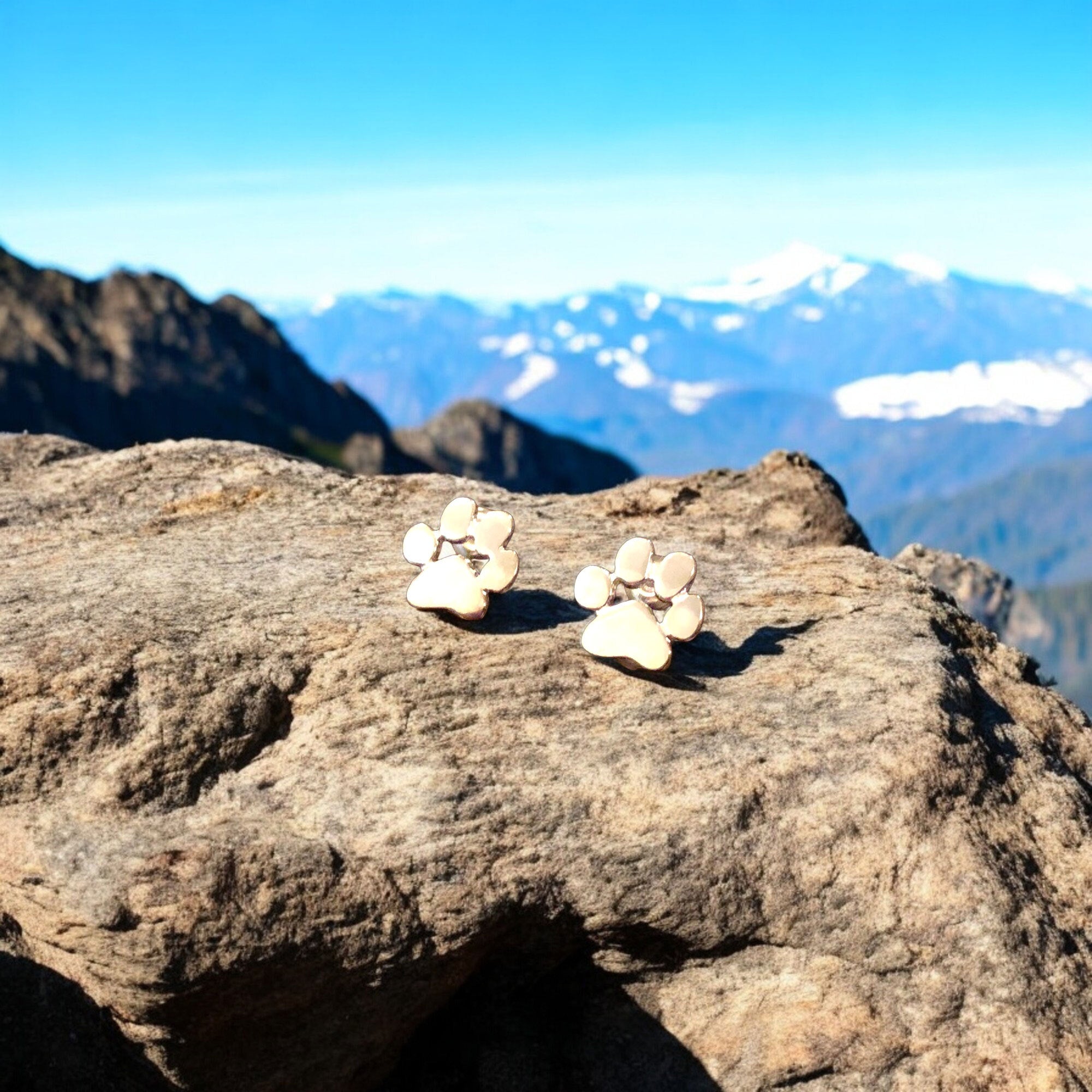 Hypoallergeniske poteøreringe